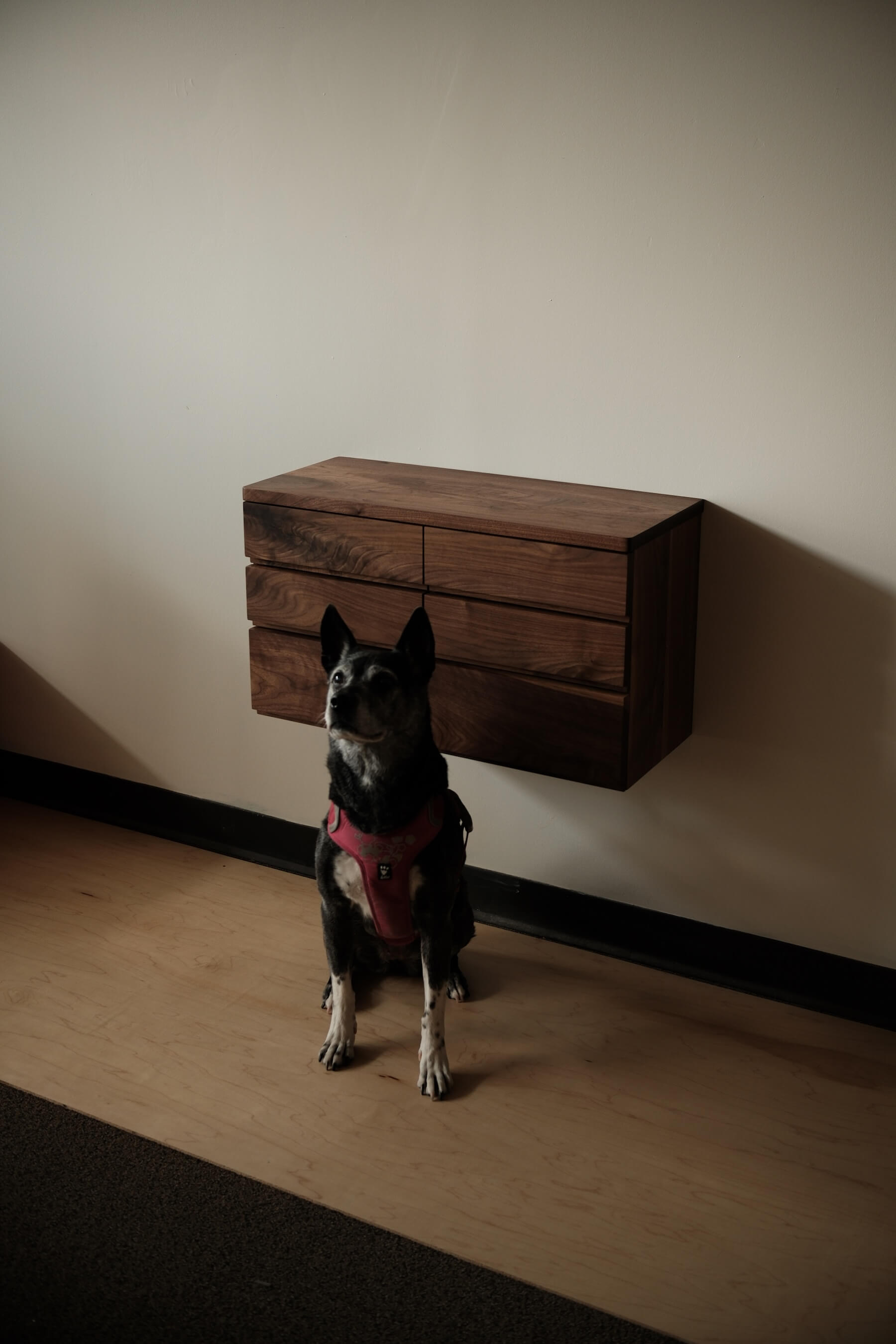 Prototype Development